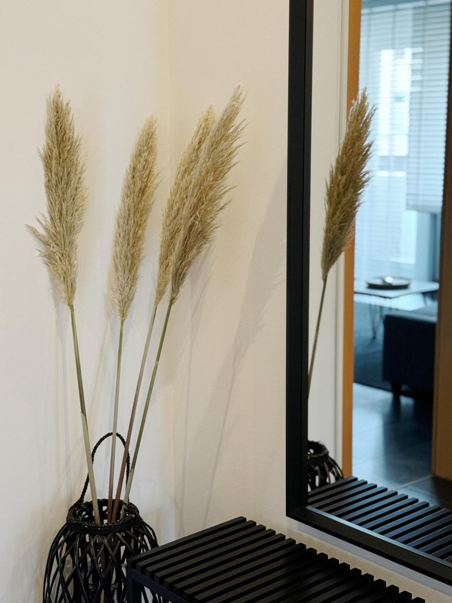 90M2 I Central I Netflix I Wifi I Free Parking I Lia Apartments Hanovre Extérieur photo